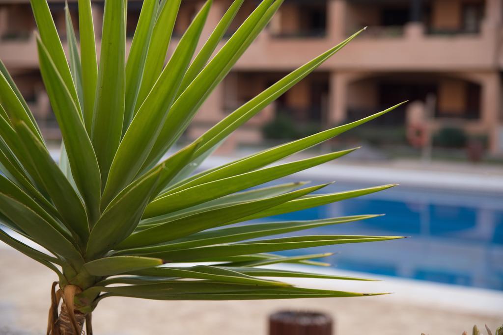 Apartamentos Turisticos Spiritmar Almerimar Exteriör bild